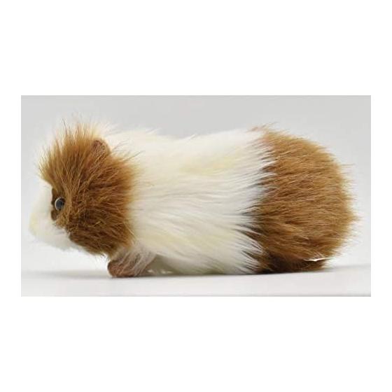 BH3735 HANSA Guinea Pig 20