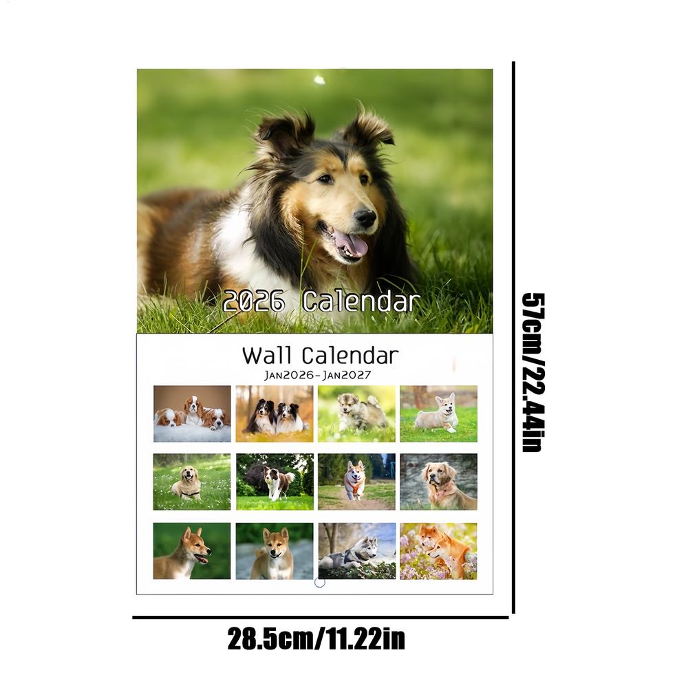Creative Cat Wall Calendar 2026, Cute Cats & Dogs Monthly Planner for Home, Office, Desk, School, Study and Family Planning