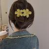 Fashion Charm Flower Hair Claw Clips Acrylic Hairpins Hair Clip for Women Girls Hair Accessories
