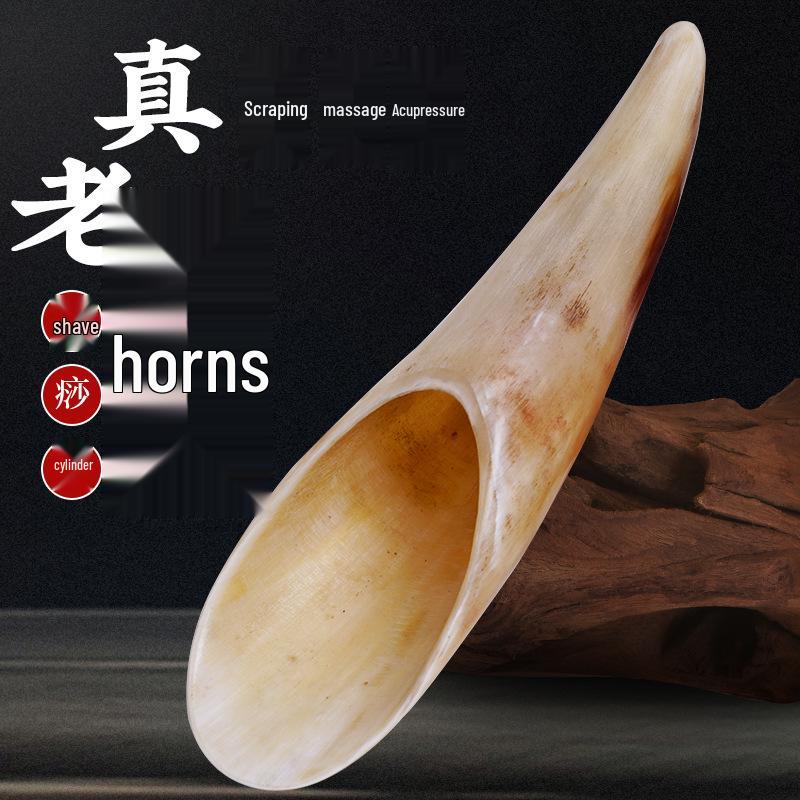 Buffalo Horn Gua Sha Teaspoon Scraper - Large Size Massage & Meridian Tool