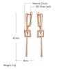 Simple Glossy Long Dangle Earrings For Women Fashion  Rose Gold Color Natural Zircon High Quality Daily Fine Jewelry