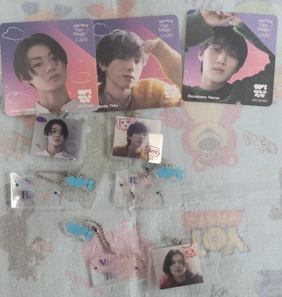 [USED] WILD BLUE Goods