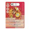 Kanji Monsters Life Green Kanji Exam Recommended Version. Kanji card game, learning game for kids, colorful illustrations, educational toy