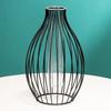 Metal Frame Vase with Clear Glass Tube Hydroponic Container for Desk Decoration Black Lantern Shape