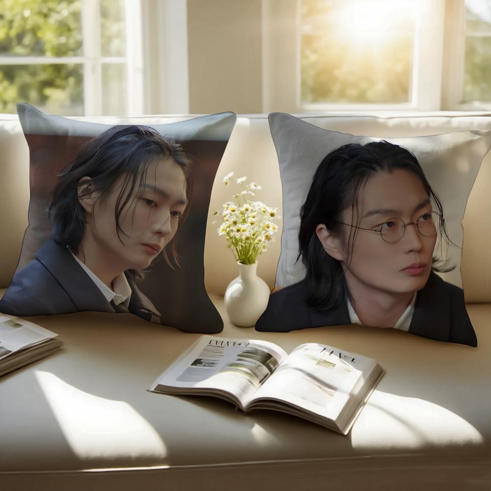 RRoh JJae Won Cushion Cover Pillowcase Antidustmite Invisible Zipper Short Plush Sofa Cushion