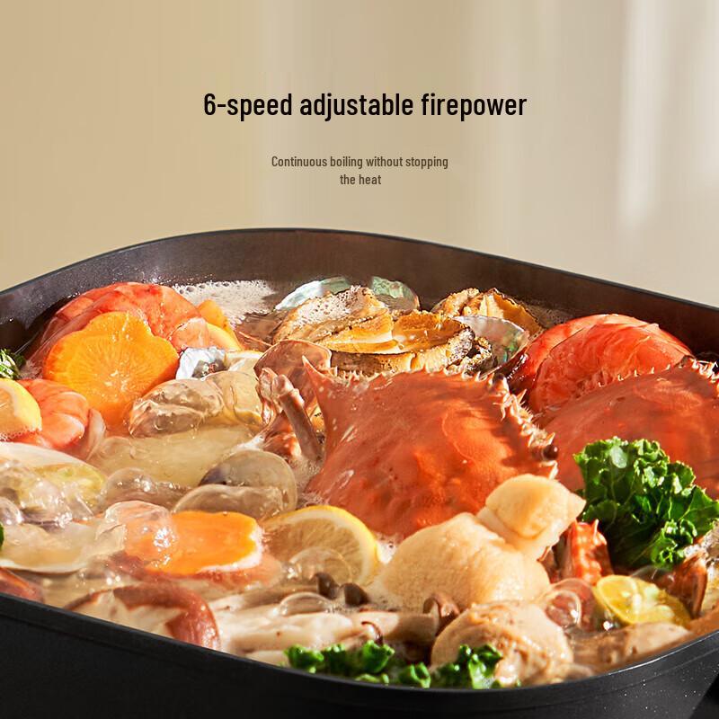 Xiaomi Mijia 6L Electric Hot Pot & Multi-Cooker CN plug (adapter included)