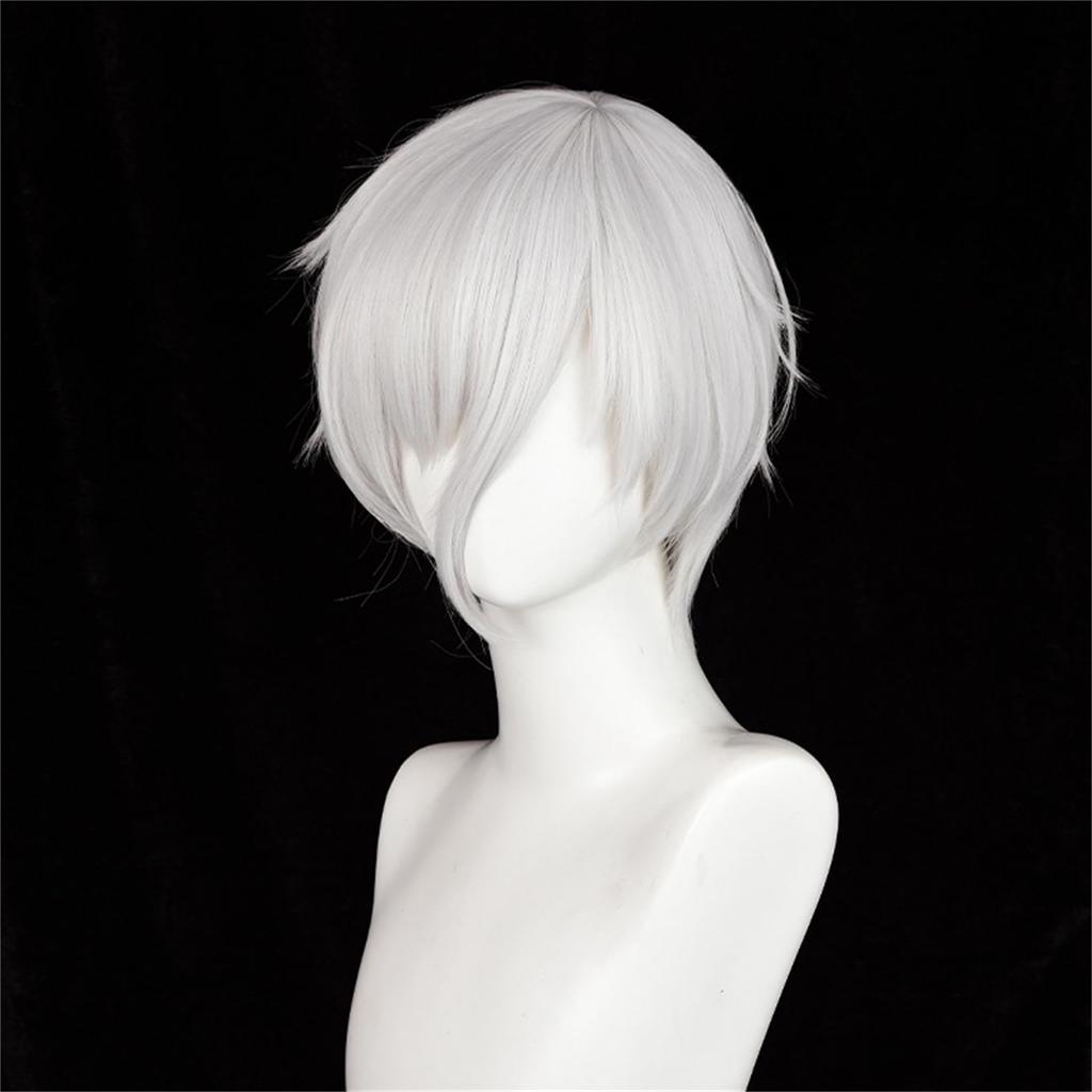 Laubao Shopping Antarcticite Cosplay Gray Costume Halloween Cosplay Wig Wig, Bob, Hair, Heat-Resistant, Accessory, Costume, (Antarcticite)