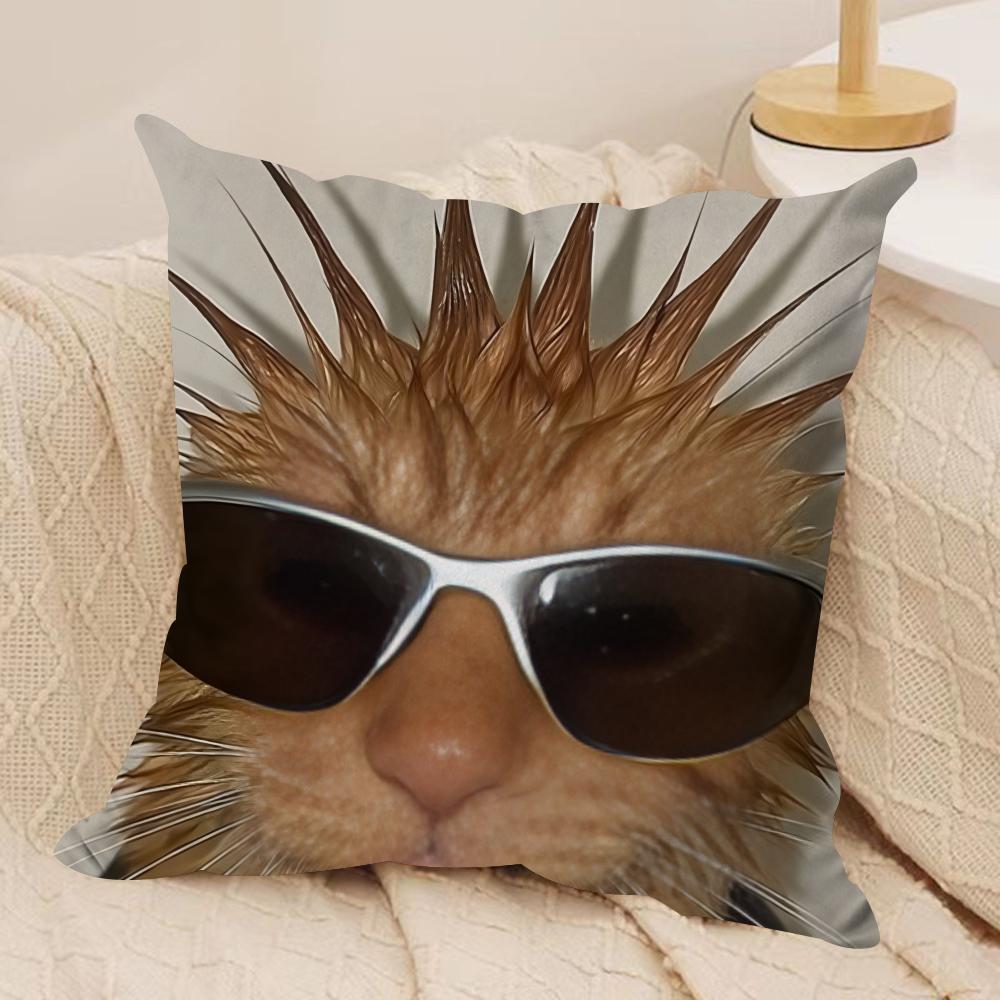 Handsome fashion pretty cat Cushion Cover Silky Short Plush Invisible Zipper Dustproof Sofa Pillow Case for Home Decor