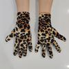 Stylish Leopard Print Gloves Soft Polyester For Men And Women Winter Windproof Fashion Handwear