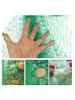 Green Anti Bird Netting Pond Pool Protection Net Mesh Garden Plant Fruit Vegetables Flower Traps Netting Protect Pest Control