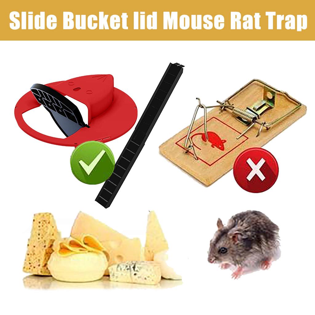 Bucket Lid Mouse Trap Humane Or Lethal Trap Door Style