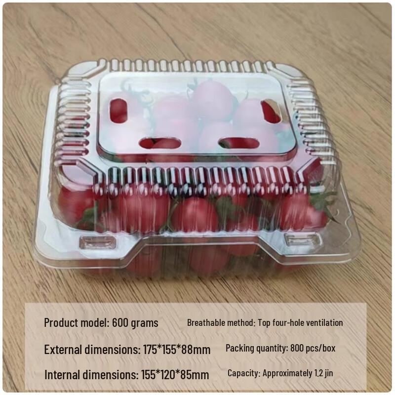 Sheng Bilai Disposable Fruit & Takeaway Boxes