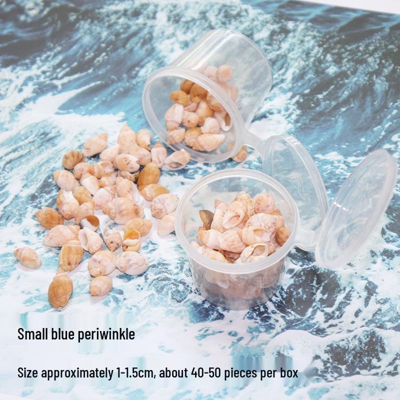 Seashell Conch UV Epoxy Craft Encapsulation Kit