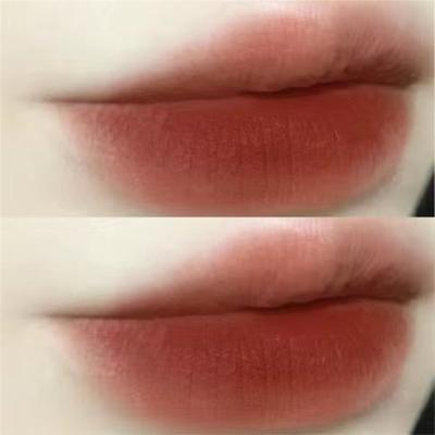 Chestnut Velvet Matte vedel huulepulk veekindel huuleläige kauakestev alasti huulepulk naiste punane huulevärv Beauty Cosmetic