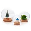 Handgeblasenes Glas Eiform Rund Blasen Terrarium Glaskugel Kugel Miniatur Mikro Landschaft Moderner Behälter Deckel Vase Flasche