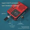 Newmine MX28 Portable Bluetooth Speaker with Radio CN plug (adapter included)