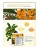 80 Stück/Flasche Gold Osmanthus Augenmaske Augenpflege Kollagen Gel Molkeprotein Schlaf Augenklappe