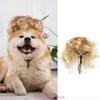 Lustige Katze Hunde Locken Pony Perücken Kostüm Hundeperücken Haar Party Hut Kopfschmuck Haarschmuck für Halloween/Weihnachtsgeschenk