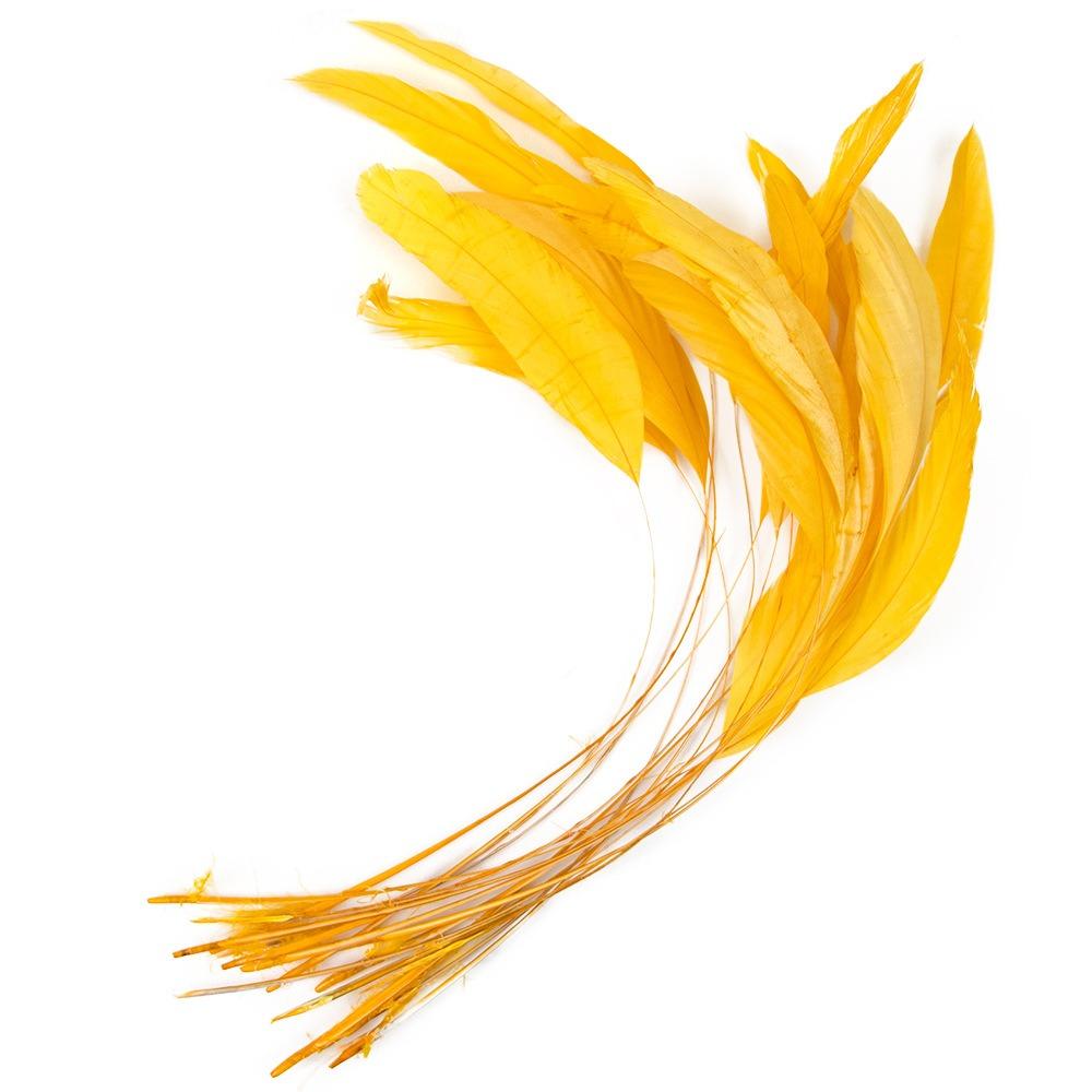 10Pcs Natural Feather Rooster Feather Multicolor Craft Feathers Wedding Decor