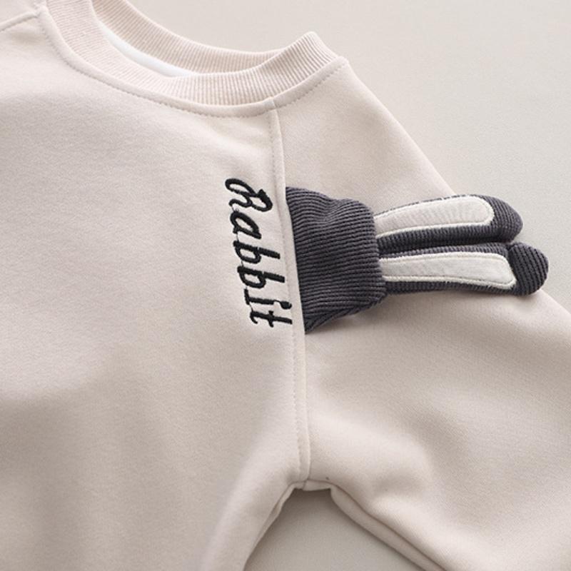 Autumn and Winter Boys Clothing Set New Children's Korean Edition Hooded Sweater Pants Two piece Set Girl Baby Velvet Set