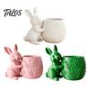 Rabbit Design Planter 3D Printed Bunny Hugging Succulents Planter, Cute Flower Pot with Embossed Mini Desk Decor Floral Body, for Office Bedroom, Gift