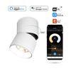 Plafoniere și lustre – Proiectoare