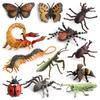 Cross-Border Children's Cognitive Insect Model Toy Set
