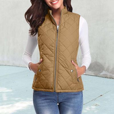 Women'S Sleeveless Vest Jacket Coat Casual Autumn Warm Cardigan Zipper Warm Temperament Coat With Pockets Solid Vests For Women
