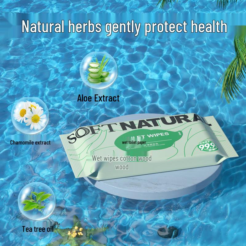 Biodegradable Antibacterial Flushable Wet Toilet Wipes - 40 Sheets (Clog-Free and Eco-Friendly)