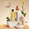 Portable Aroma Diffuser Fragrance Essential Oil Aromatherapy Machine Wall Mounted Humidifier Machine