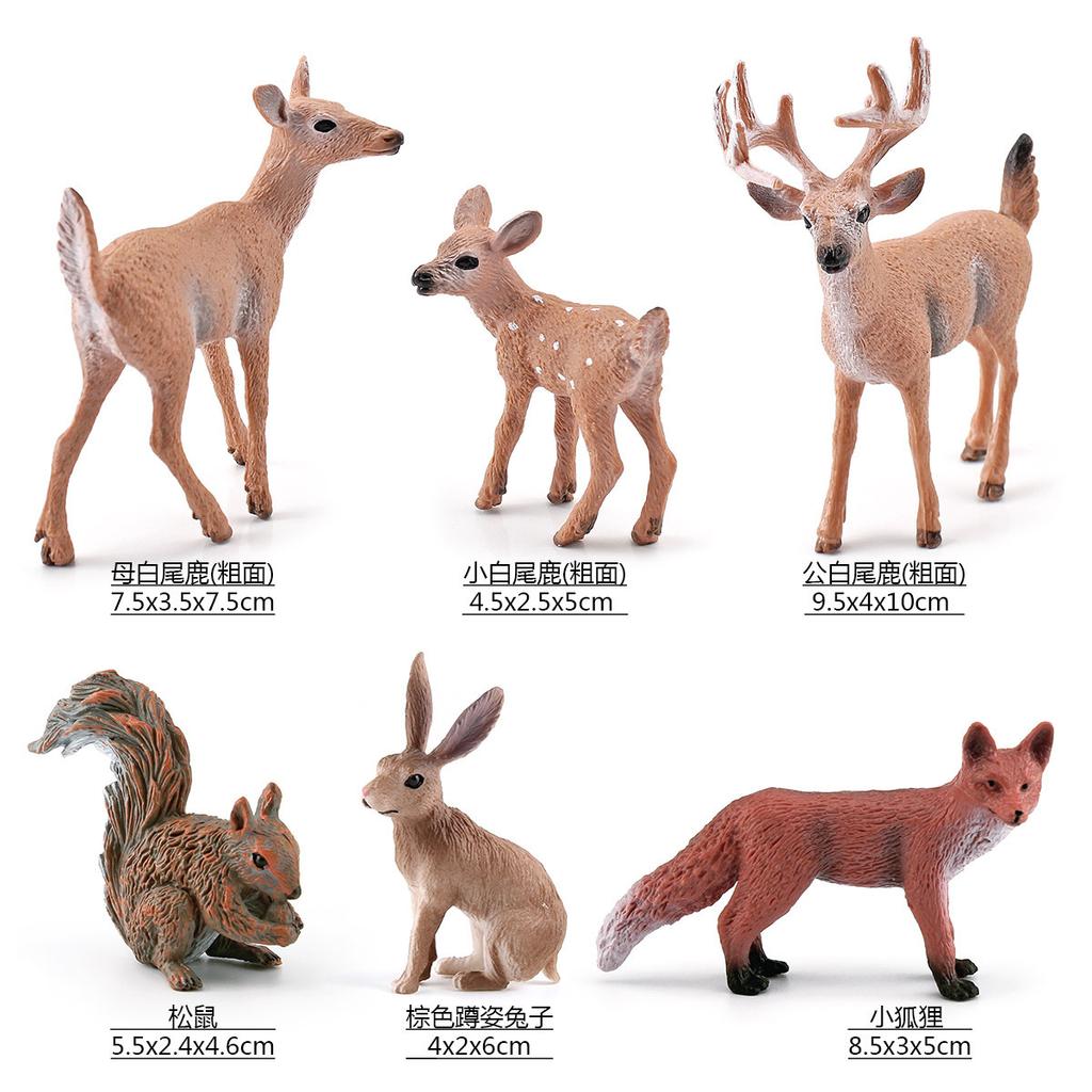 6 Simulated Forest Animals, Squirrel, Rabbit, White-Tailed Deer, Fox Model Static Ornament Toys