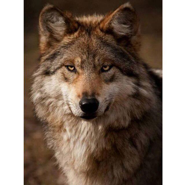 Wolf DIY 5D Diamond Painting Full Round Resin Rhinestone Mosaic Animal Paintings Diamond Embroidery Cross Stitch Home Decor