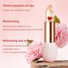 Lippenbalsam Lippe Speziell Entwickelt Für Frauen Mädchen Um Einfach Schöne Und Glatte Lippen Zu Schaffen Lippenbefeuchtend 15g