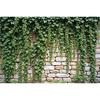 MOON.QG Tropical Leaves Backdrops Spring Garden Backgrounds Green Grass Photo Wall Customized Name Birthday Wedding Photocall