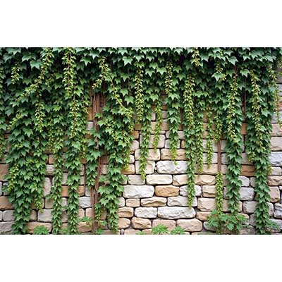 MOON.QG Tropical Leaves Backdrops Spring Garden Backgrounds Green Grass Photo Wall Customized Name Birthday Wedding Photocall