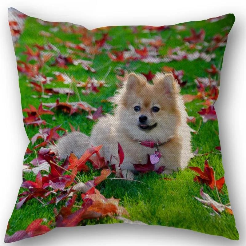 New Custom Pomeranian Dog Pillowcase Cotton Linen Fabric Square Zipper Pillowcase 45X45Cm Wedding Decorative Pillow Cover