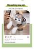 Cartoon Husky Plush Toy - Small Dog Comfort Doll for Children's Birthday Gift