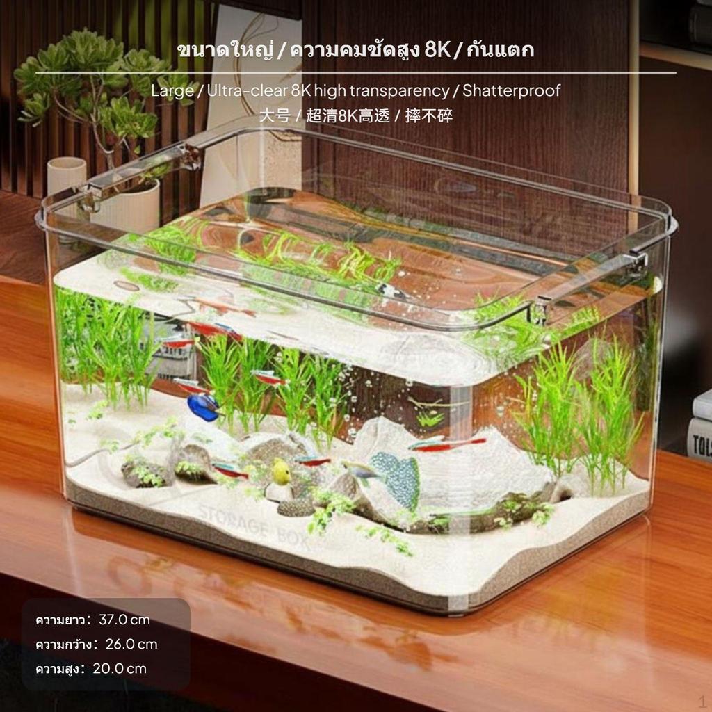 Desktop Eco Fish enclosure, PET aquatic habitat, Transparent Turtle Living Room