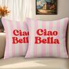 2D Flat-2pcs Striped Letter Print Decorative Throw Pillow Covers, No Inserts Included Sofa chair cushion cover