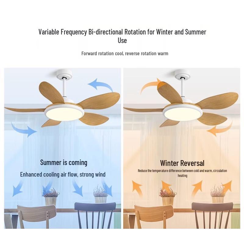 Oeny Ceiling Fan Light