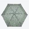 WPC Transparent 3 Fold Umbrella Pt Mt 002