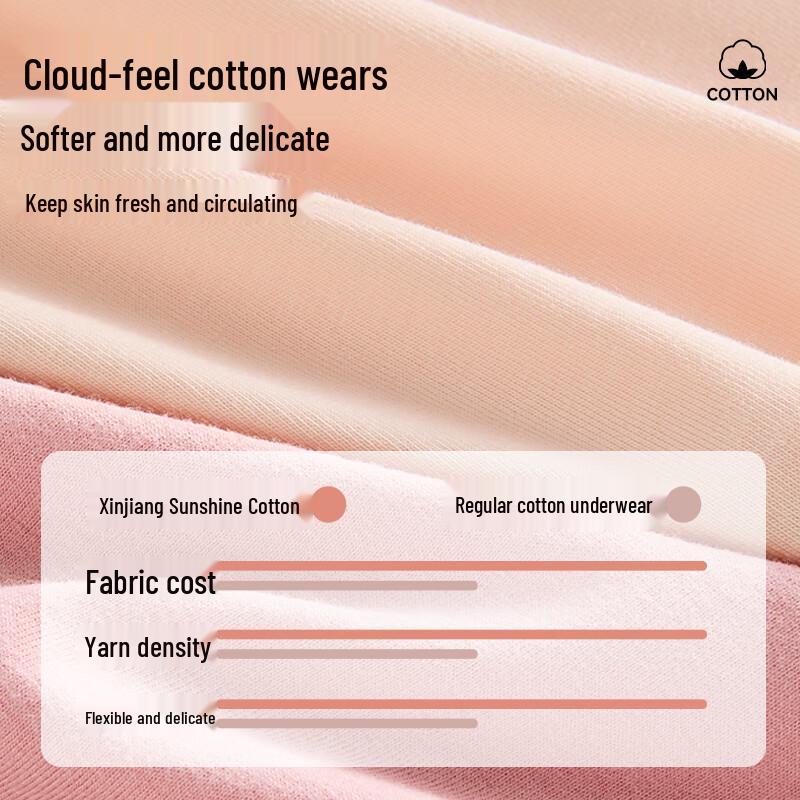 FitonTon Women's Plus Size High-Waist Cotton Briefs 4-Pack