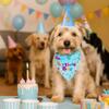 Adjustable Pet Birthday Caps Cute Dog Birthday Bib Dog Dress Up Dog Birthday Hat Set for Dogs Cats