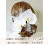 Phalaenopsis Orchid Tulle Lace Flower Hair Ornament Set for Japanese Graduation Hakama [J's Select] Clothing, Weddings, Coming-of-age Ceremonies,