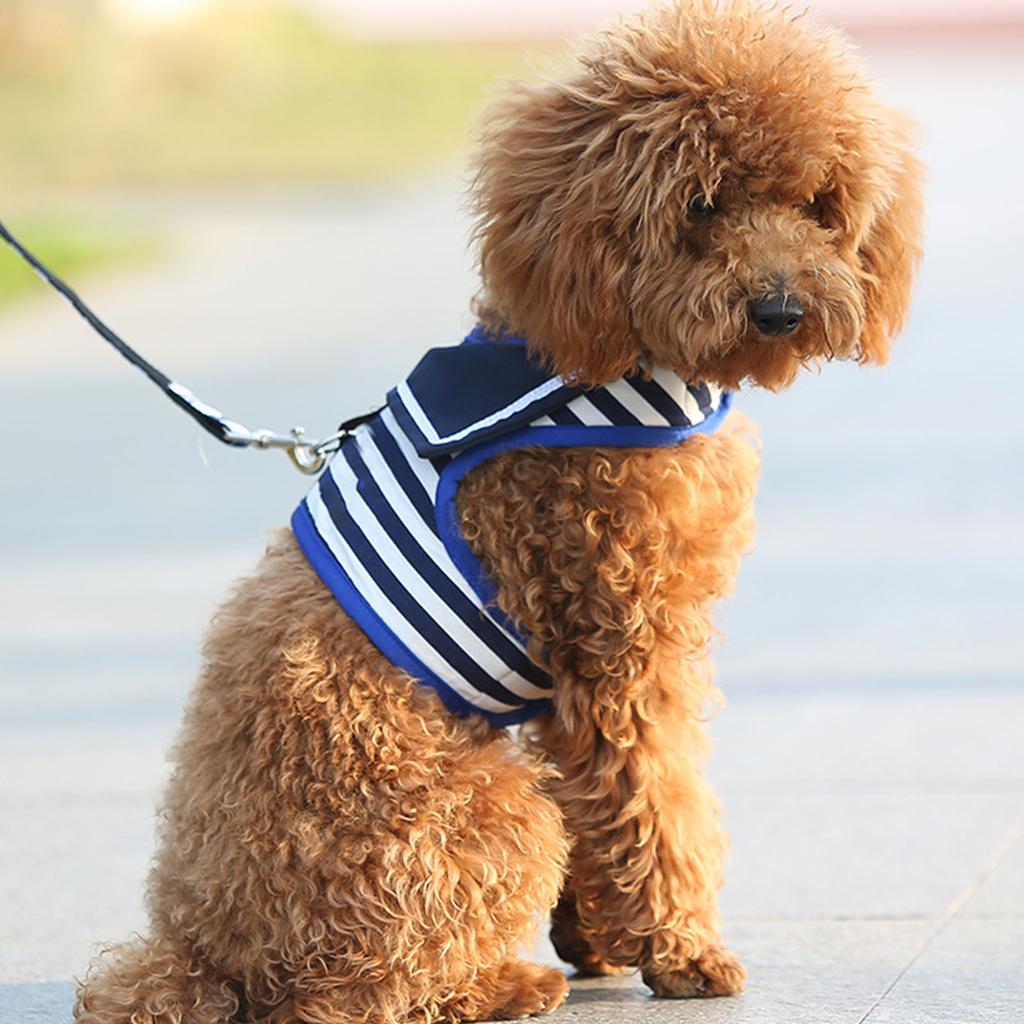 Dog Harness Leash Set with Metal Clasp Cute Small Adjustable Length Pet Chest Back Supplies Blue S