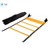 Agility Training Ladder