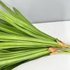 DIY Artificial Sword Orchid Leaves 61cm Fake Spider Plant Realistic Faux Plants  Wedding