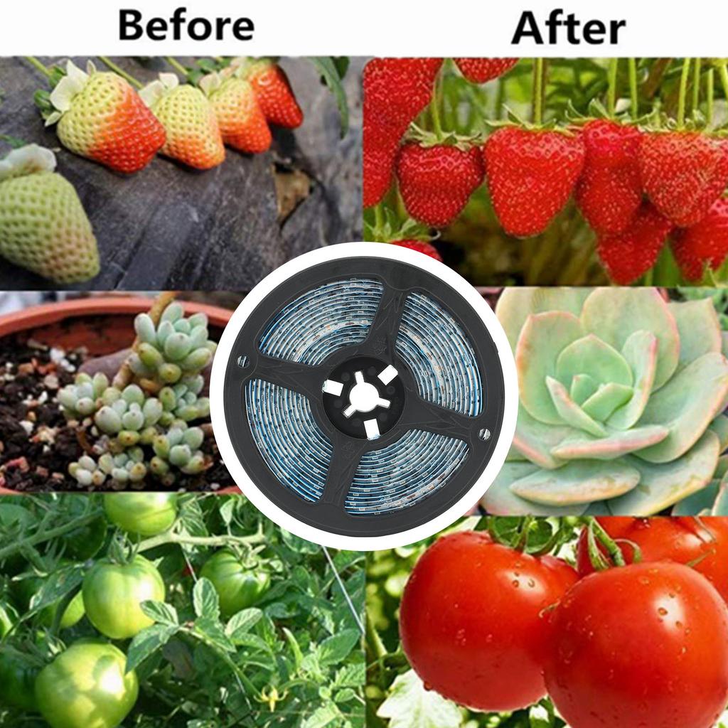 LED Flashlights Multifunction Zoomable High Power USB Rechargeable Flashlights for Outdoor Activity Emergency Use