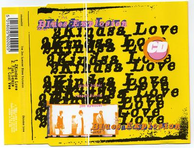 CD JON SPENCER BLUES EXPLOSION - 2Kindsa Love CDMUTE202 Mute 1996 UK Rock Used