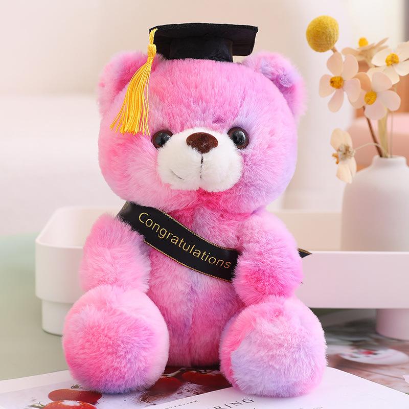 Cute Dress Colorful Doctor Bear Doll Plush Toy Teddy Bear Graduation Bear Doll Student Graduation Gift